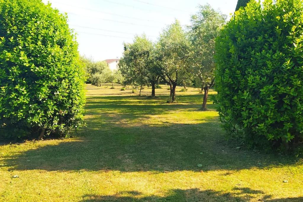 Casolare L'antico Olivo *