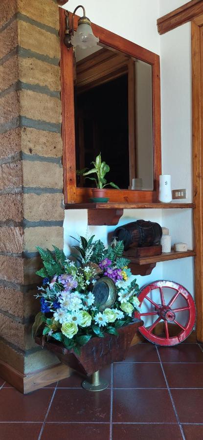 Casolare L'antico Olivo Casa vacanze *