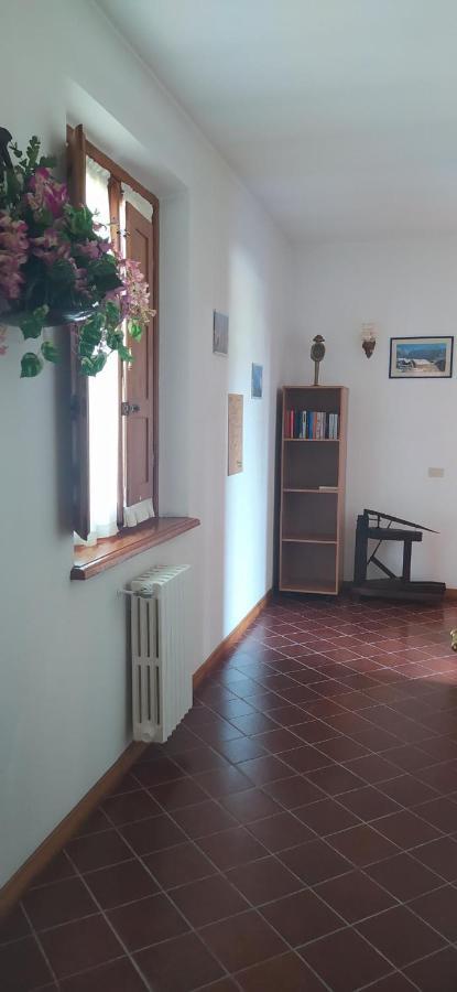 Casolare L'antico Olivo *