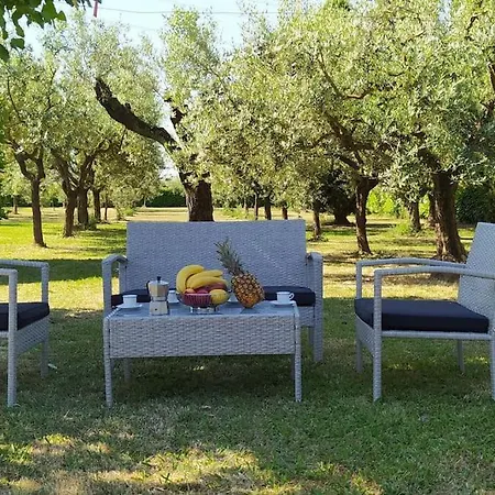 Villa Casolare L'Antico Olivo Chiesina Uzzanese Exterior foto