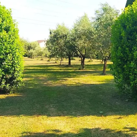 Villa Casolare L'Antico Olivo Chiesina Uzzanese Exterior foto