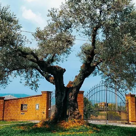 Villa Casolare L'Antico Olivo Chiesina Uzzanese Exterior foto