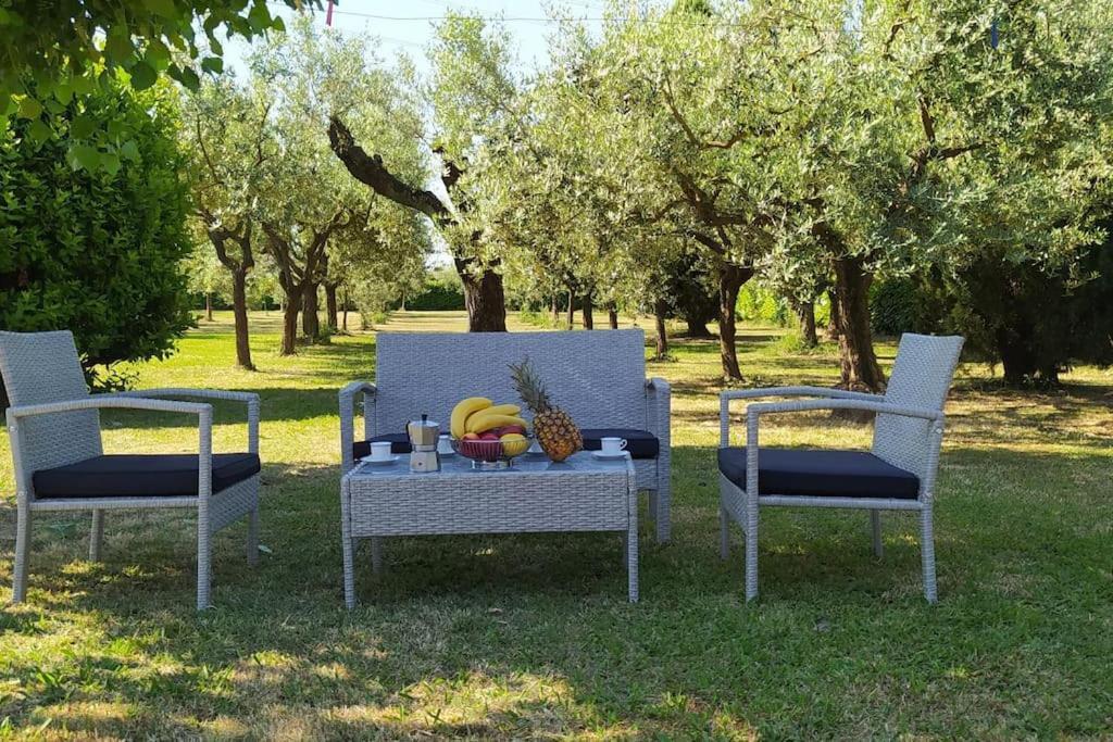 Holiday home Casolare L'antico Olivo *