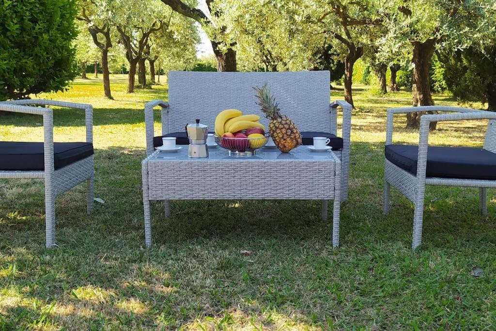 Casolare L'antico Olivo Holiday home