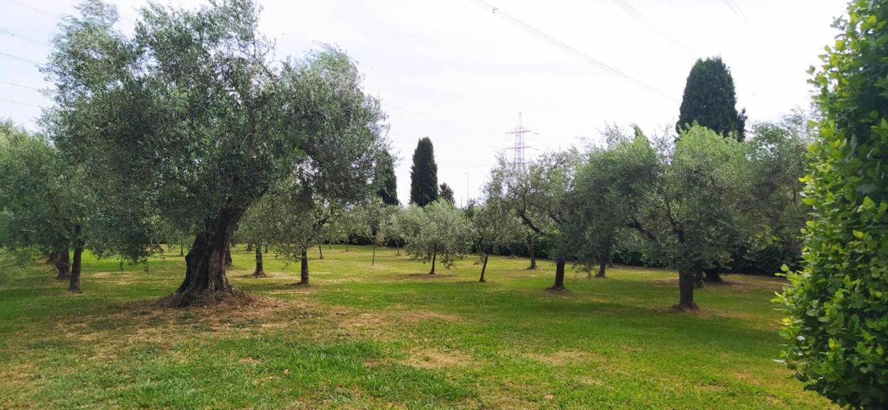 Casolare L'antico Olivo * Chiesina Uzzanese