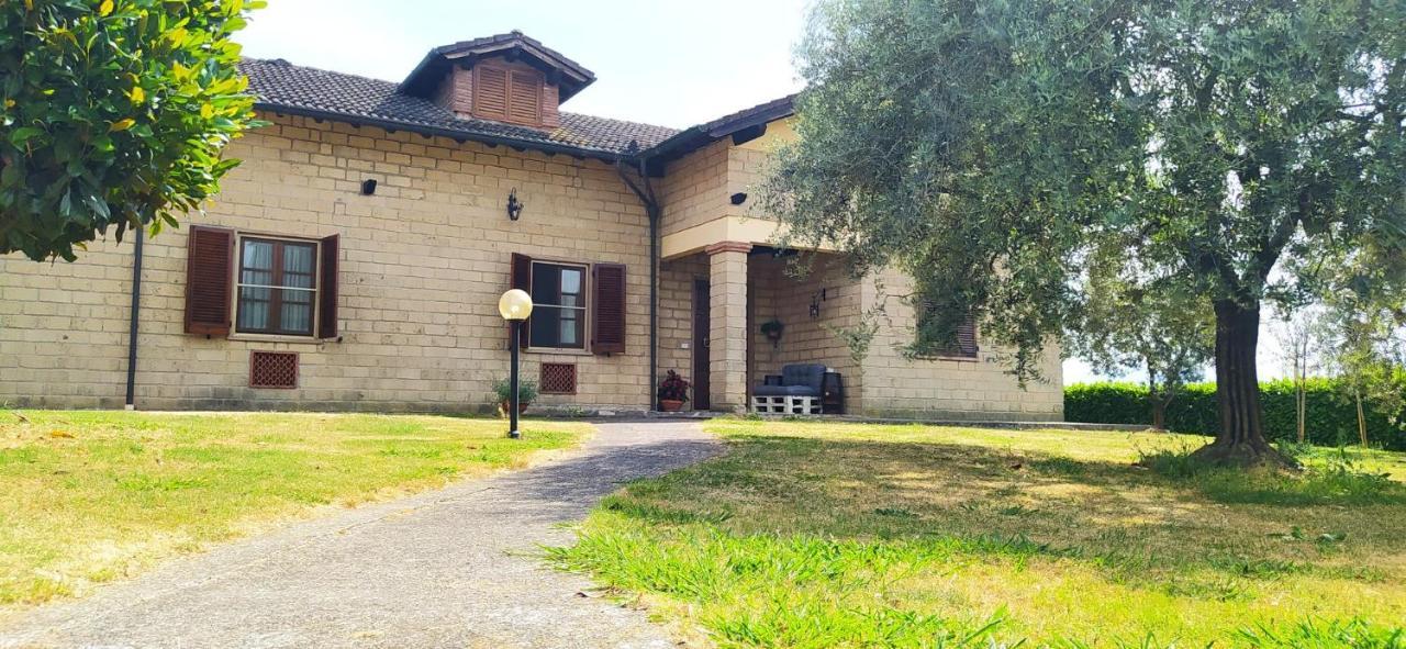 Casolare L'antico Olivo Holiday home