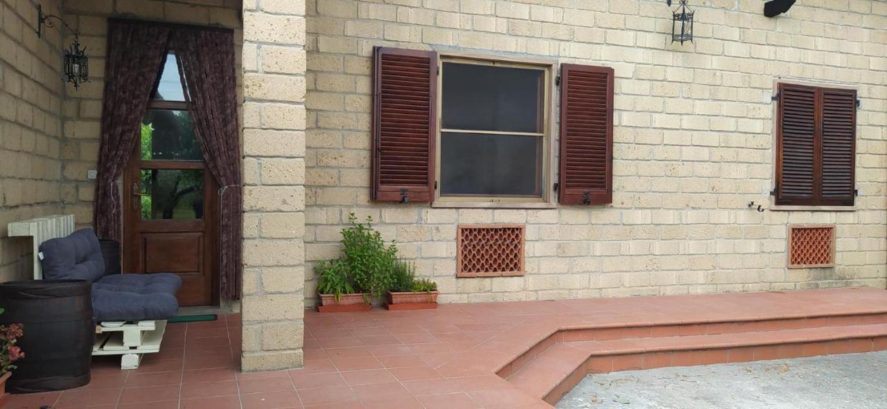 Casolare L'antico Olivo