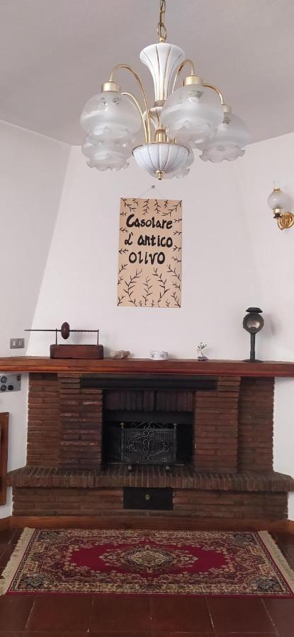 Casolare L'antico Olivo